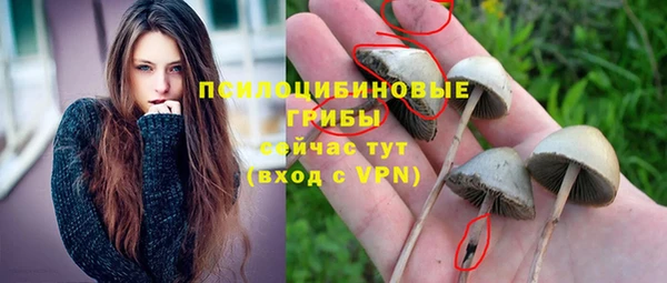стафф Балабаново