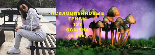 гашиш Белокуриха