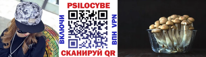 купить  сайты  Кологрив  Псилоцибиновые грибы мухоморы 